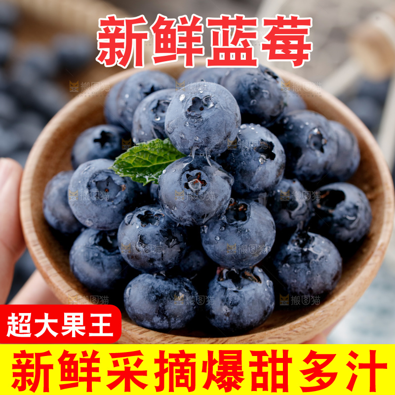蓝莓