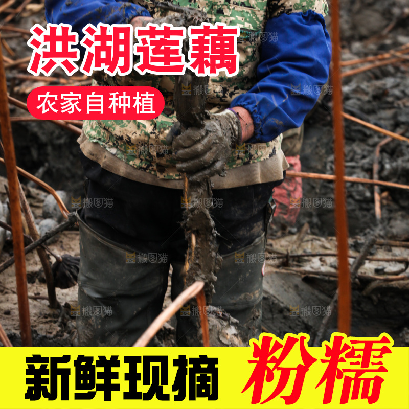 藕塘 劳动
