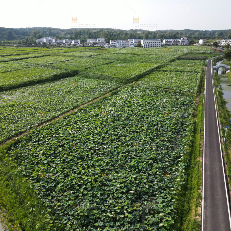 田园风光