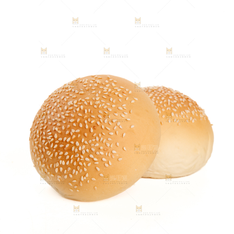 汉堡胚