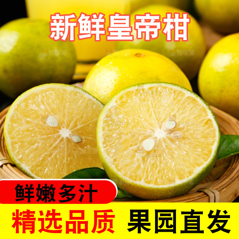 皇帝柑