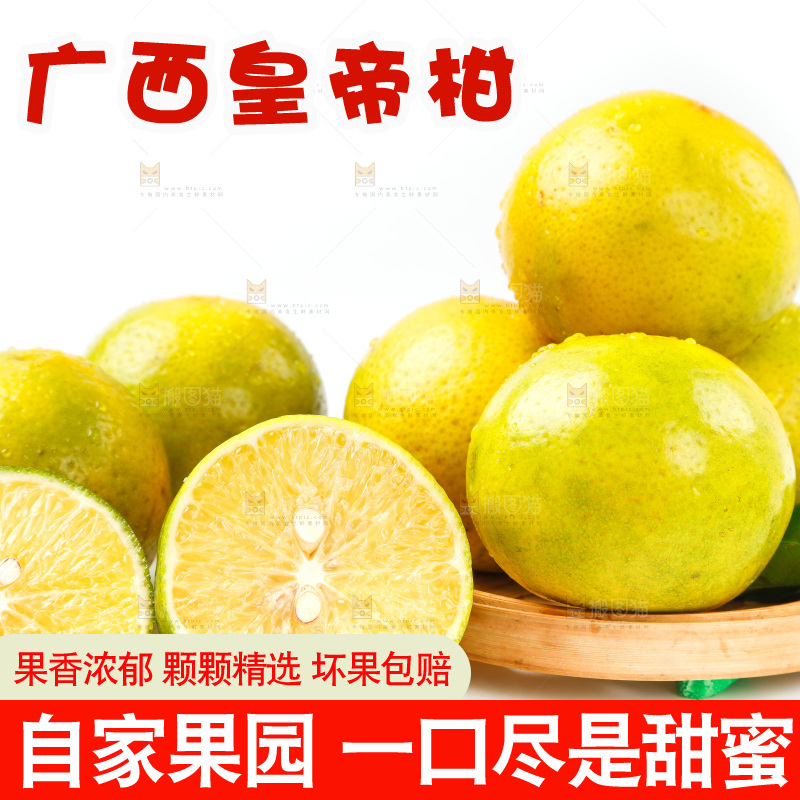 皇帝柑