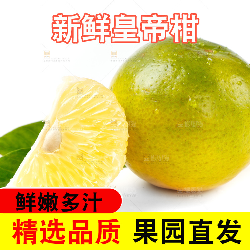 皇帝柑
