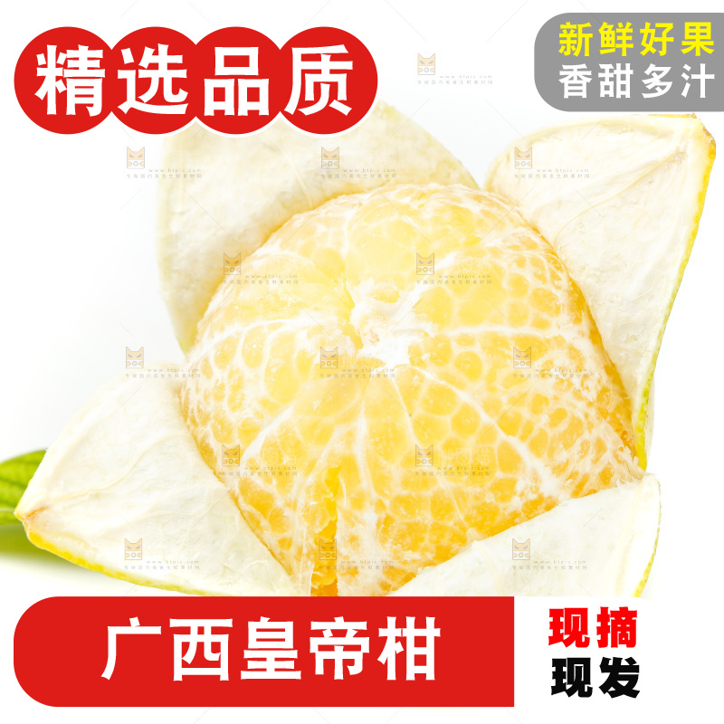 皇帝柑