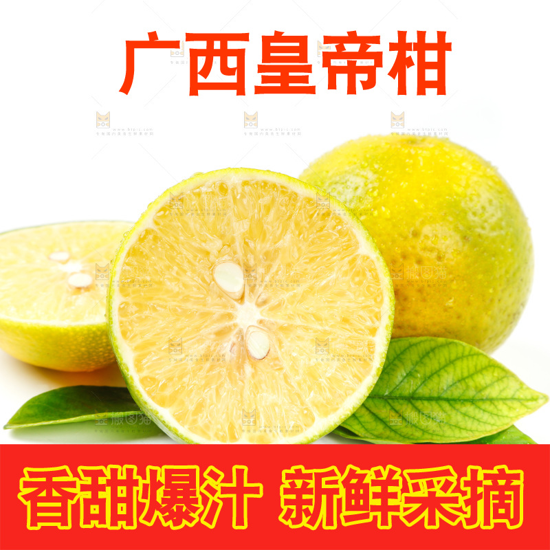 皇帝柑