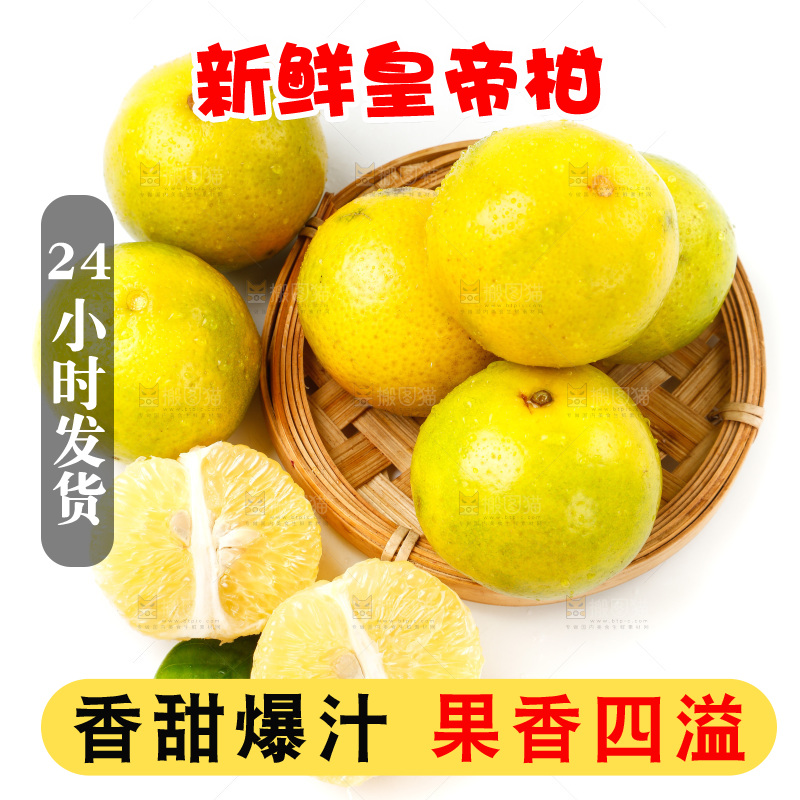 皇帝柑