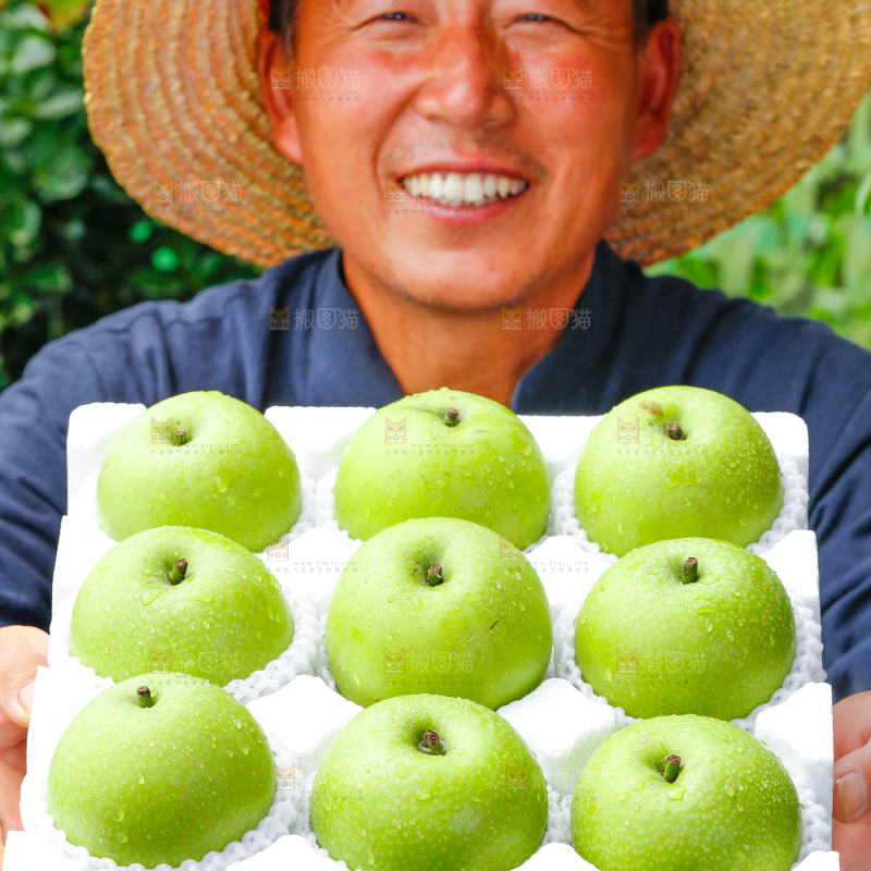 礼盒装着青皮皇冠梨