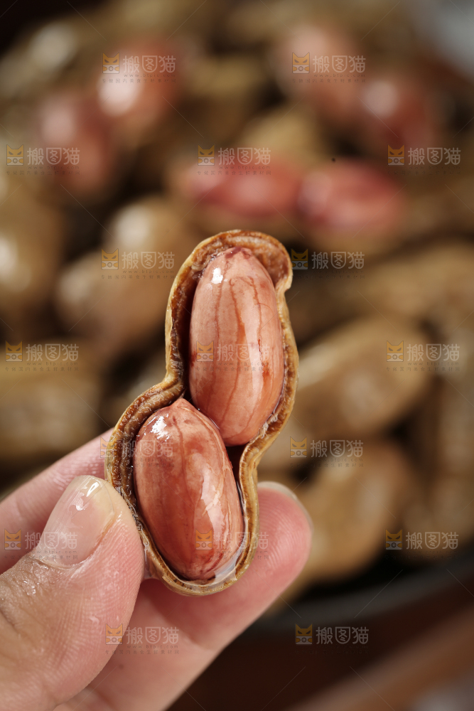 卤花生