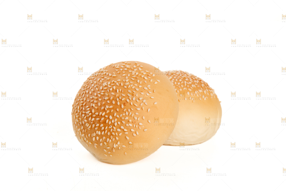 汉堡胚