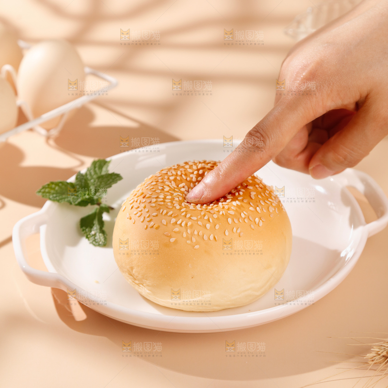 汉堡胚