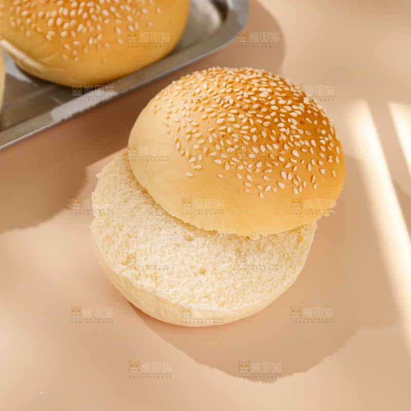 汉堡胚