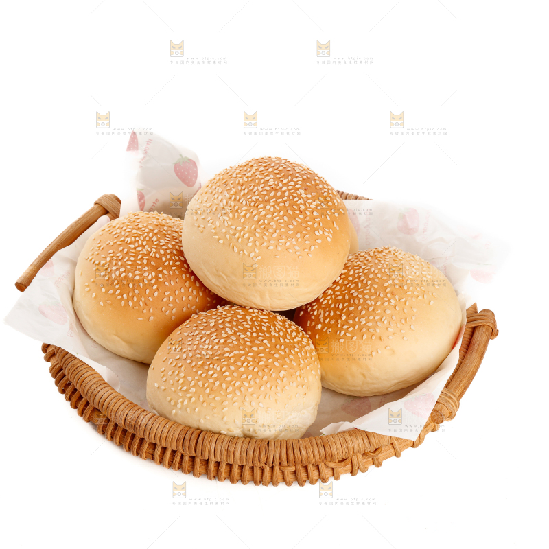 汉堡胚