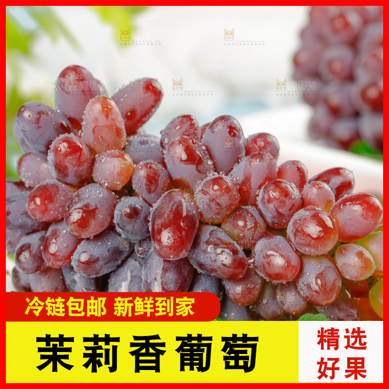 茉莉香葡萄