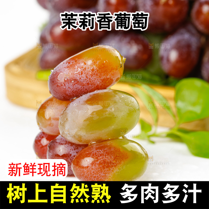 茉莉香葡萄