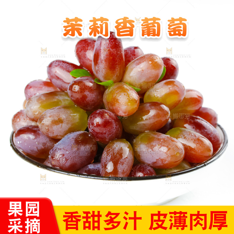 茉莉香葡萄