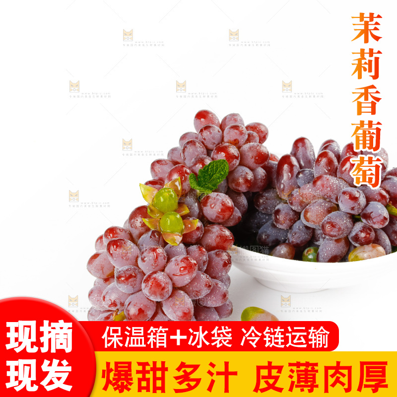 茉莉香葡萄