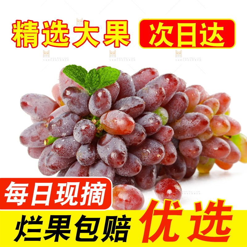 茉莉香葡萄