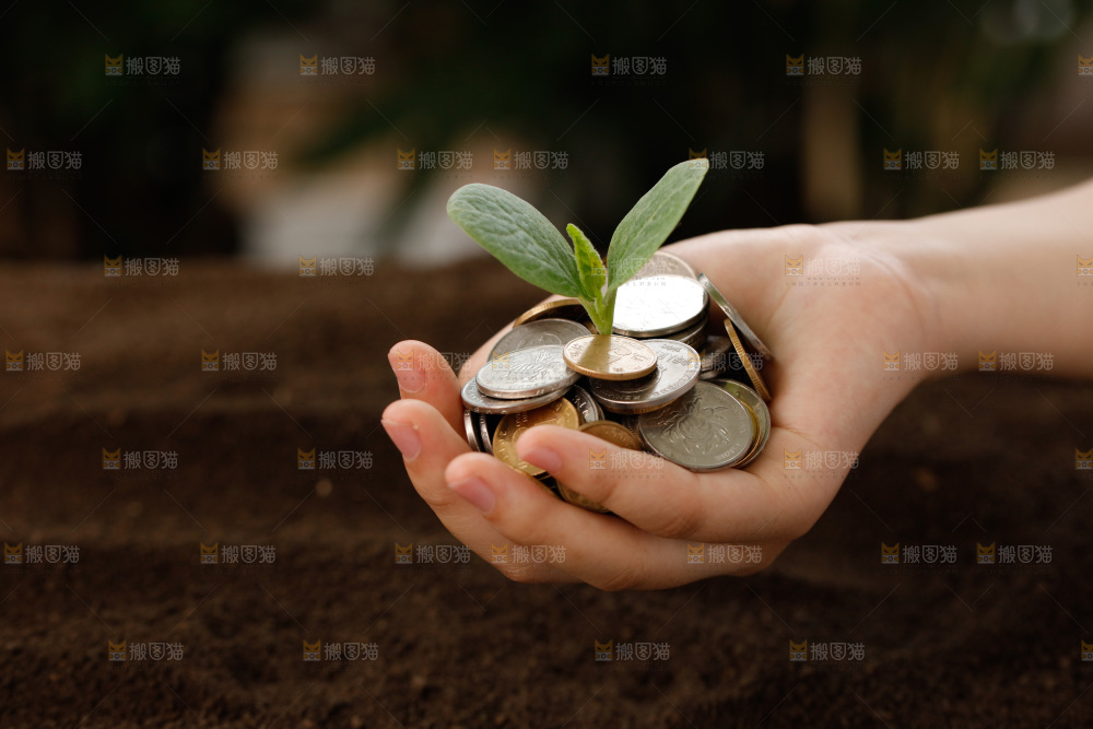 理财金融生长