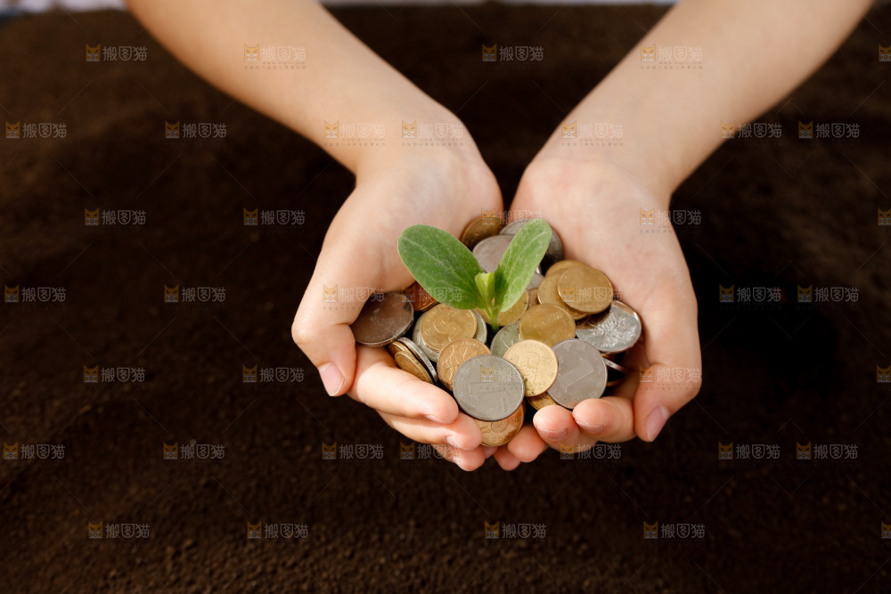 理财金融生长