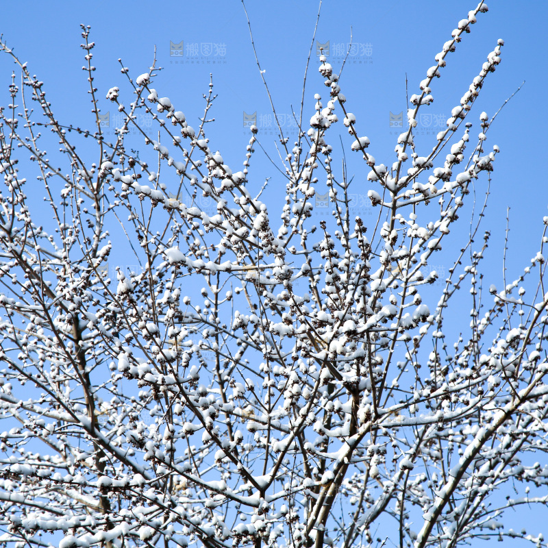 村落雪景下雪