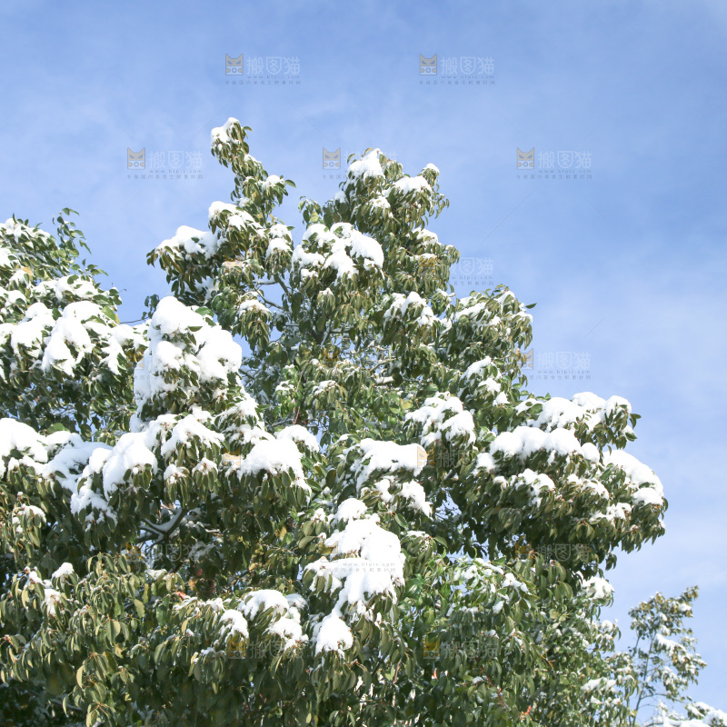 村落雪景下雪