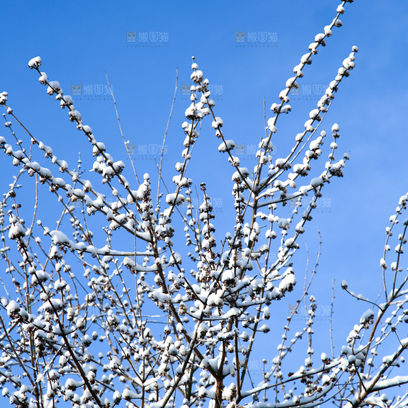 村落雪景下雪