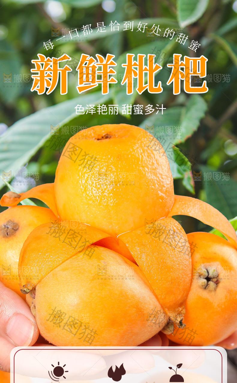 枇杷详情页