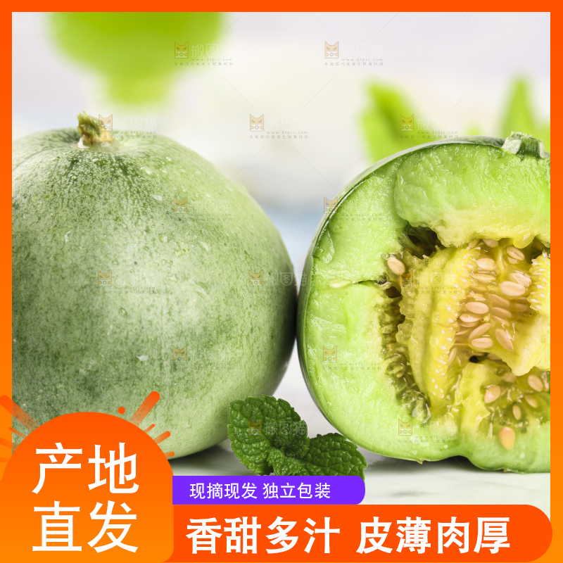 绿宝甜瓜