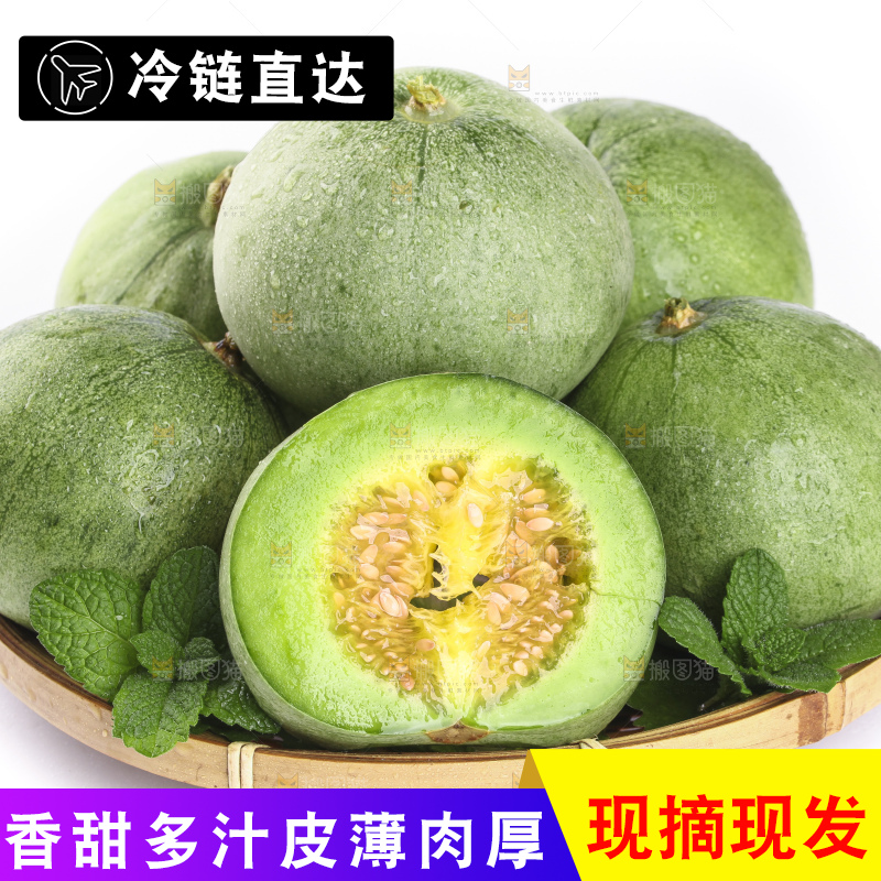 绿宝甜瓜