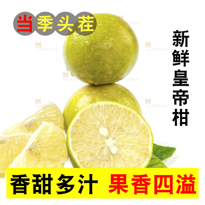 皇帝柑