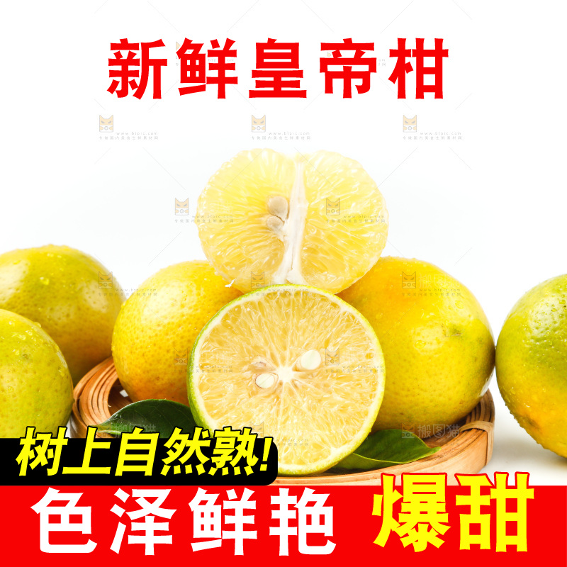 皇帝柑