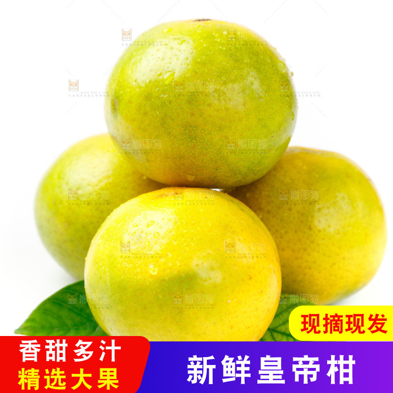 皇帝柑