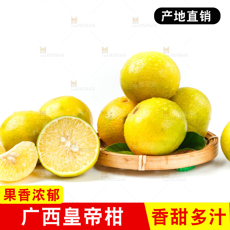 皇帝柑
