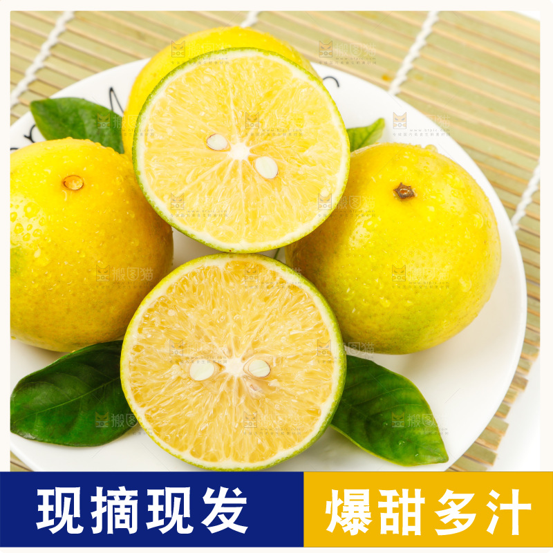 皇帝柑