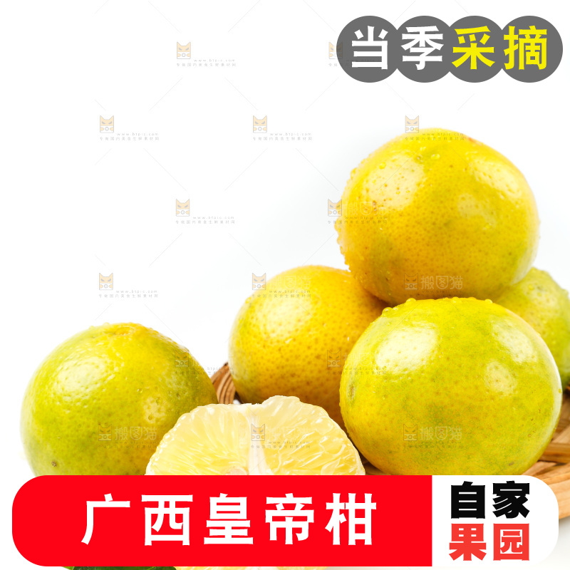 皇帝柑