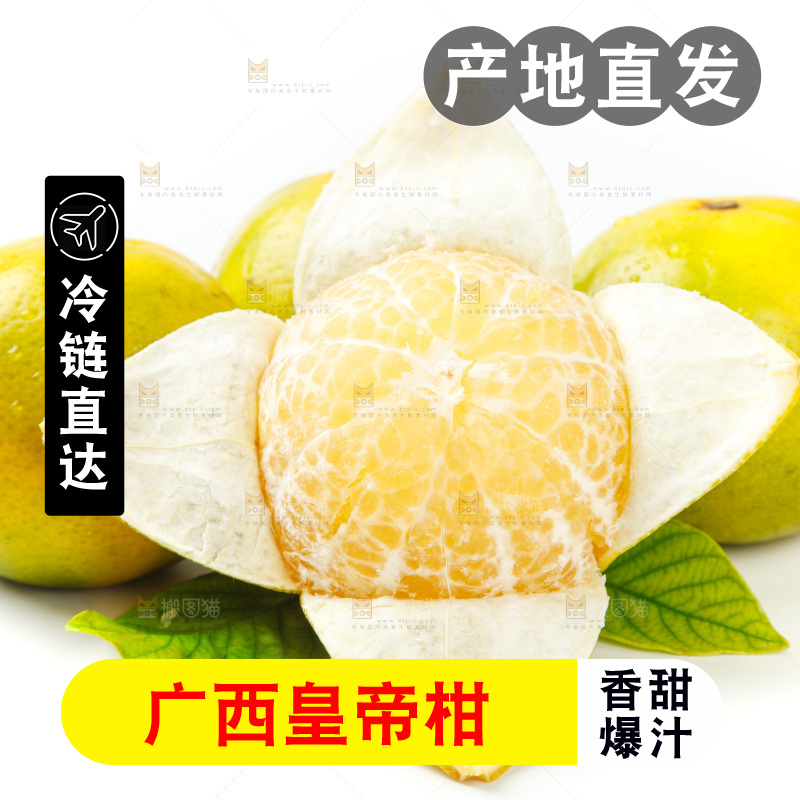 皇帝柑