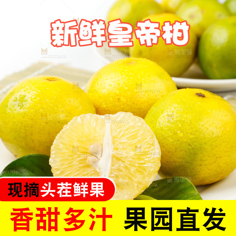 皇帝柑