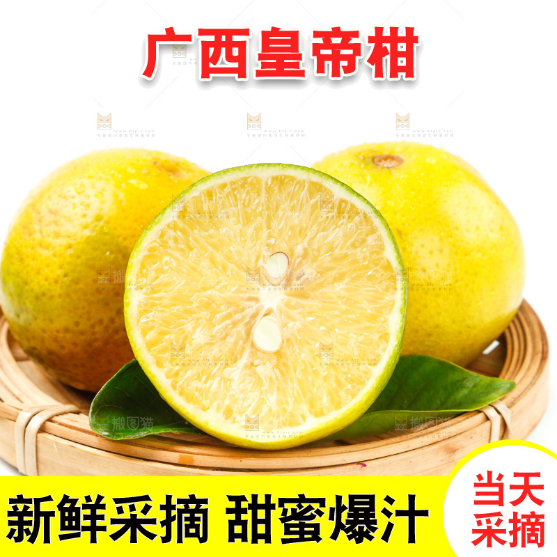 皇帝柑
