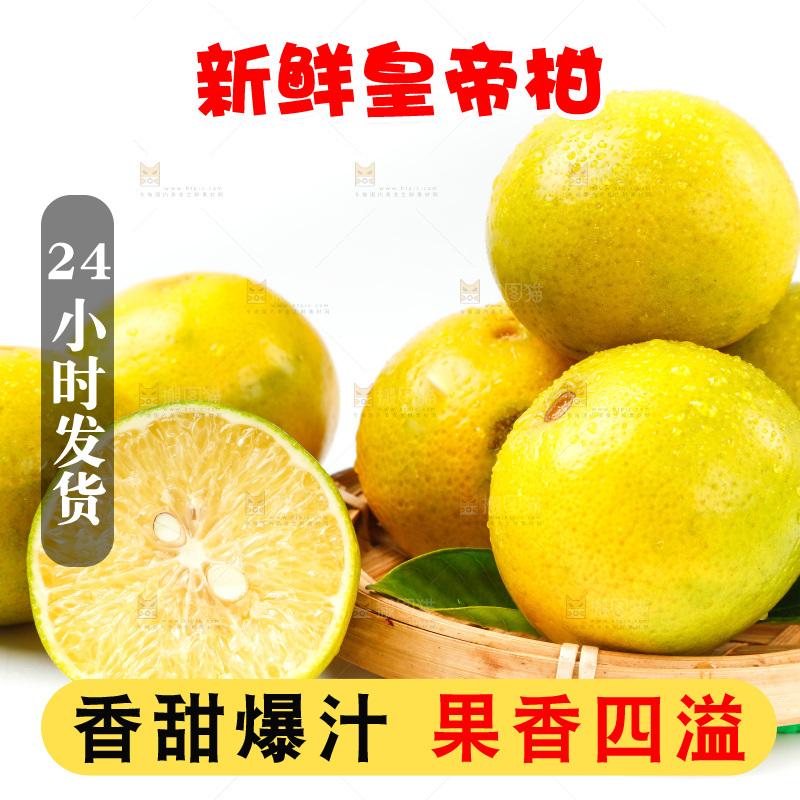 皇帝柑