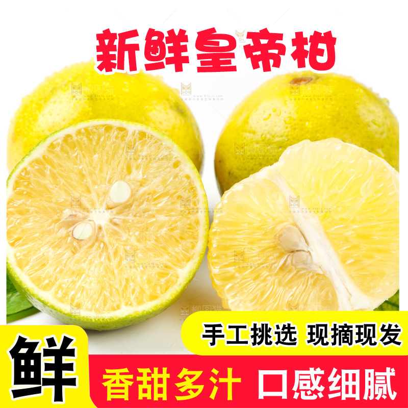皇帝柑
