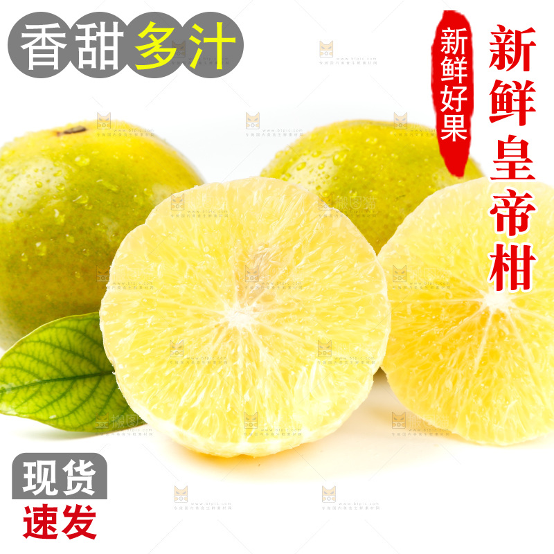 皇帝柑