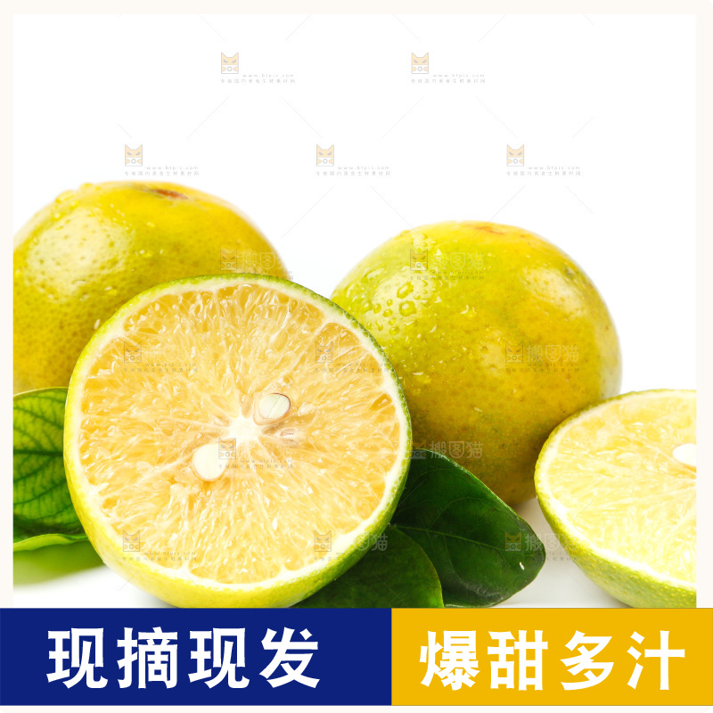 皇帝柑