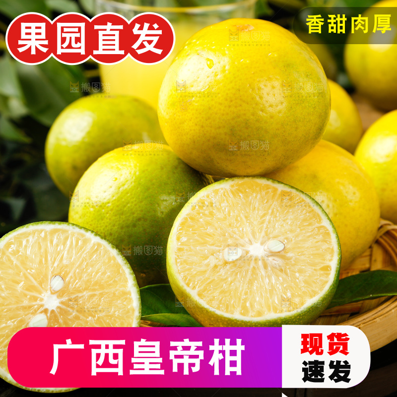 皇帝柑