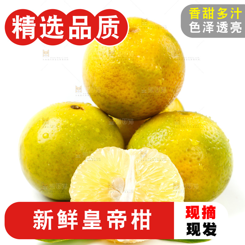 皇帝柑