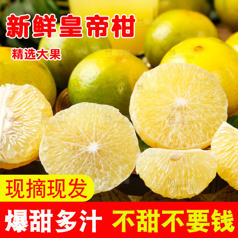 皇帝柑