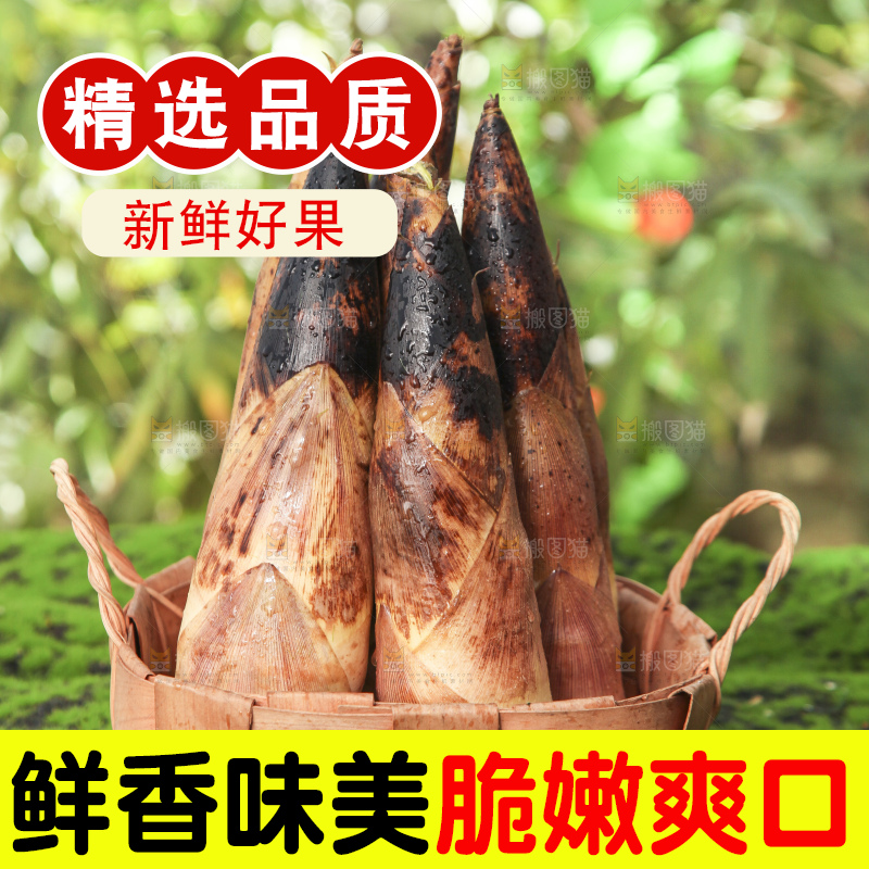春笋