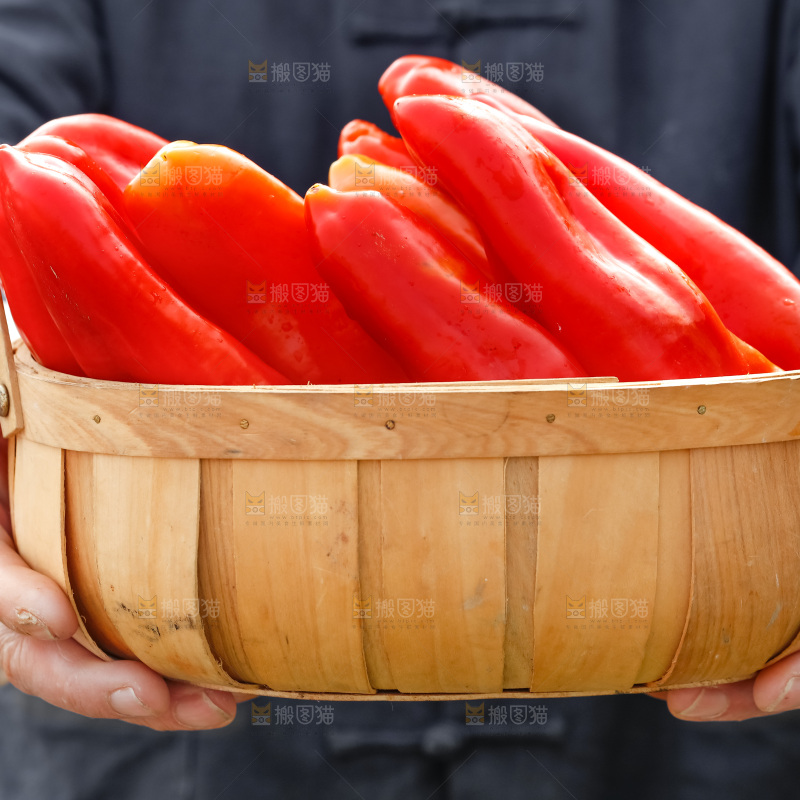 红菜椒