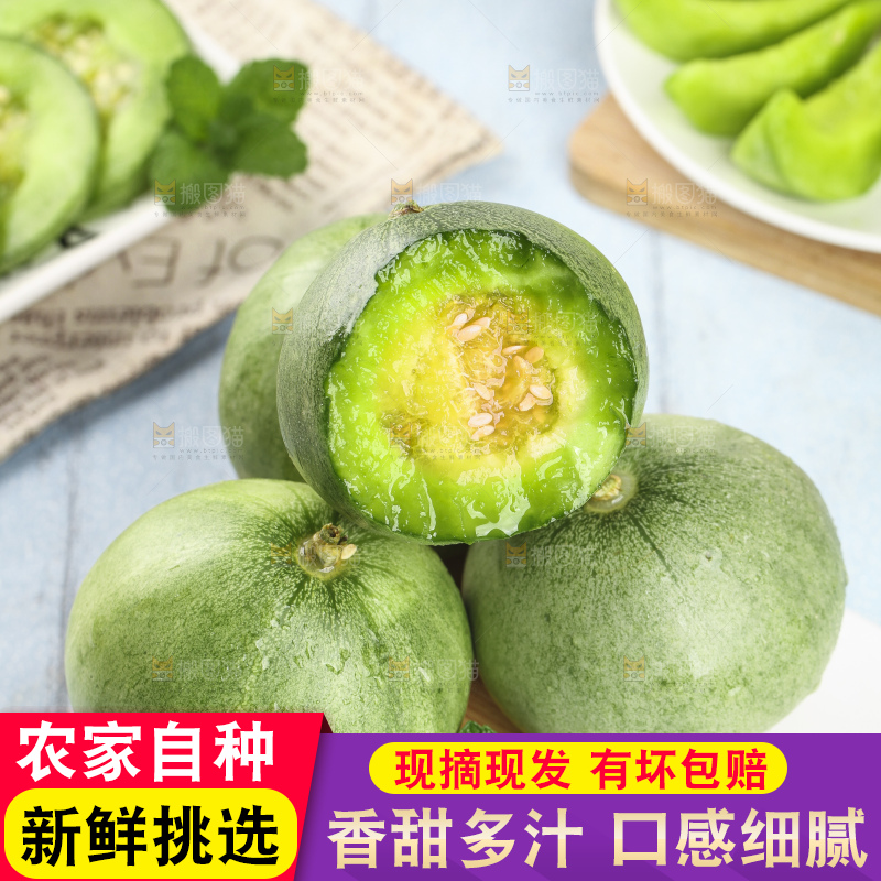 绿宝甜瓜