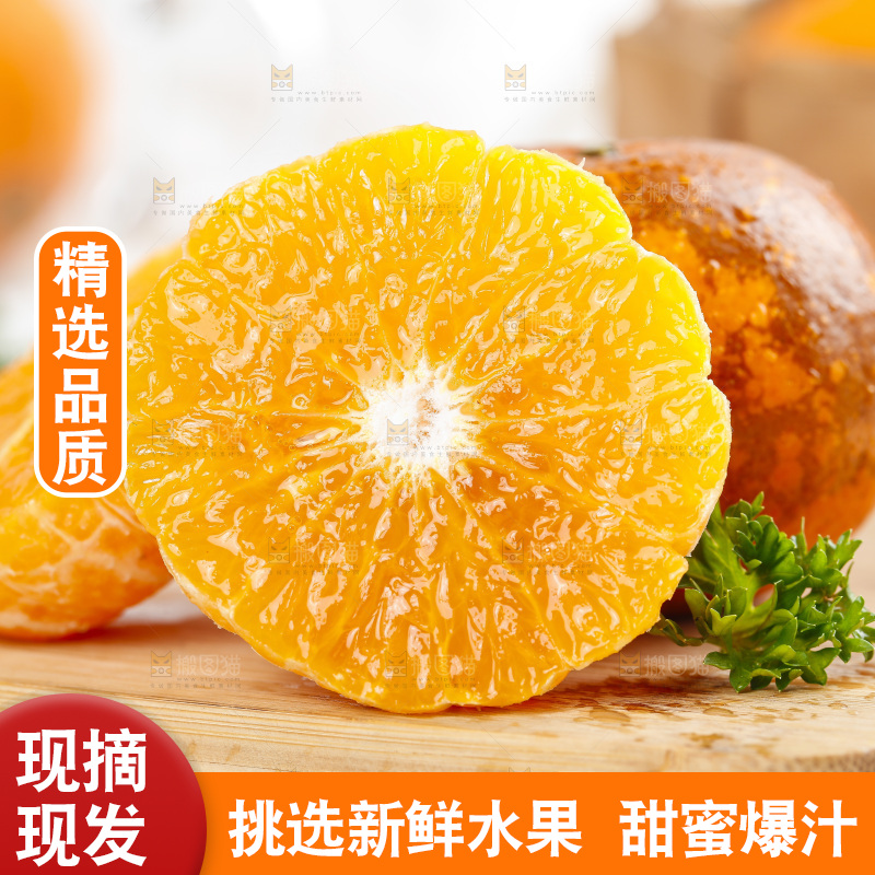 乌柑