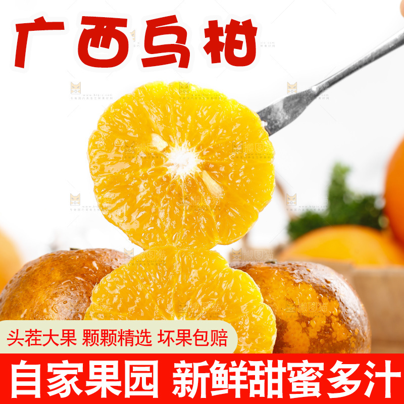 乌柑